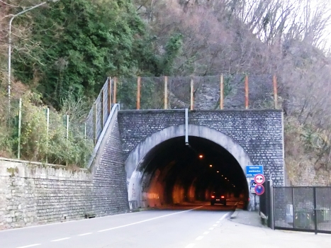 Blevio I Tunnel northern portal