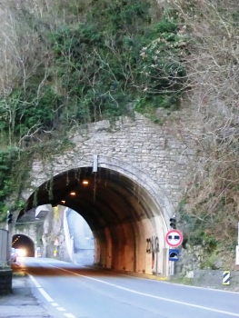 Blevio II Tunnel and, in the back, Blevio III Tunnel southern portals