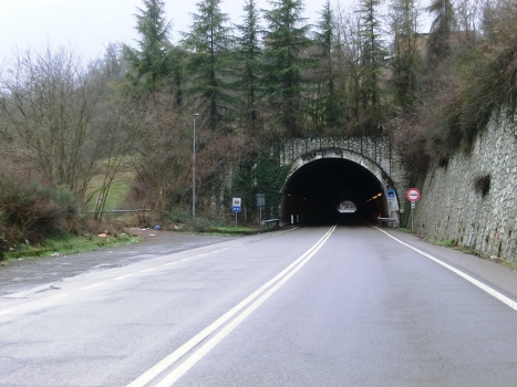 Casaleo Tunnel northern portal