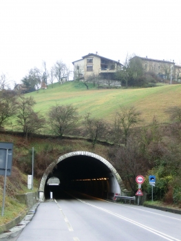 Túnel de Casaleo