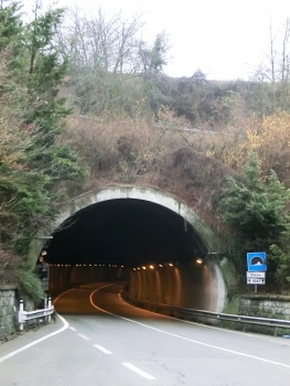 Casina Tunnel southern portal