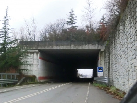Tunnel du Depuratore