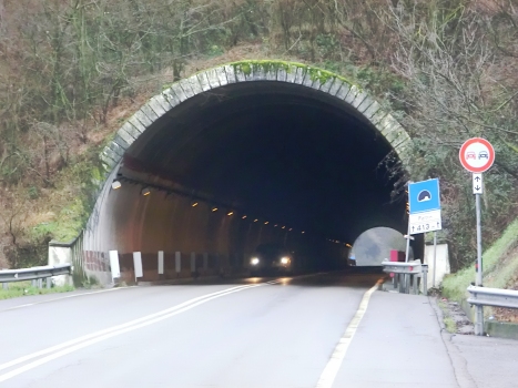 Feltrin Tunnel northern portal
