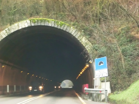 Feltrin Tunnel northern portal