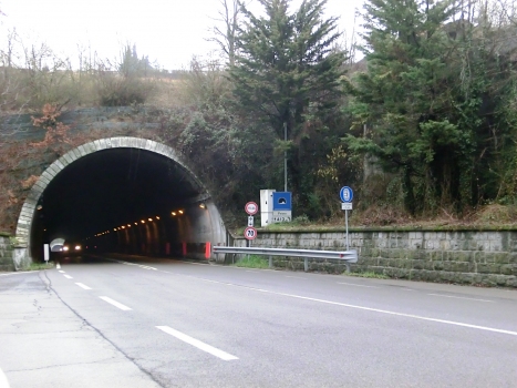 Feltrin Tunnel southern portal