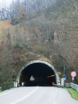 Nualetto Tunnel northern portal