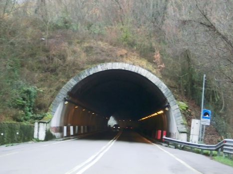 Nualetto Tunnel northern portal