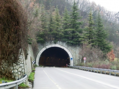Tunnel Nualetto