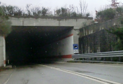 Rio Barco Tunnel southern portal