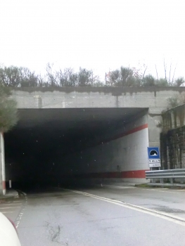 Rio Barco Tunnel southern portal