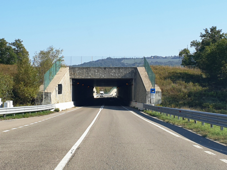 Tunnel de Gaggio 1