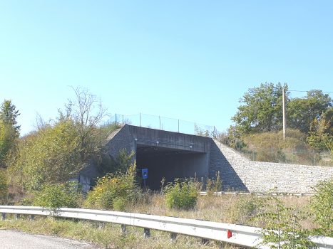 Orelia Tunnel