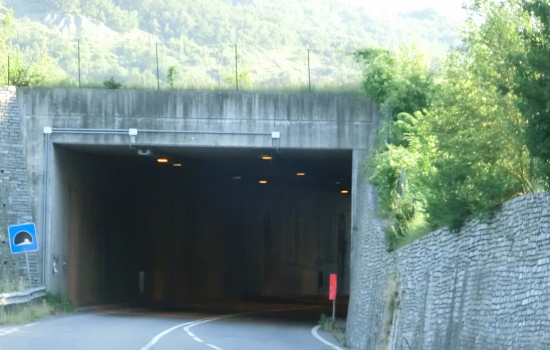 Orelia Tunnel northern portal