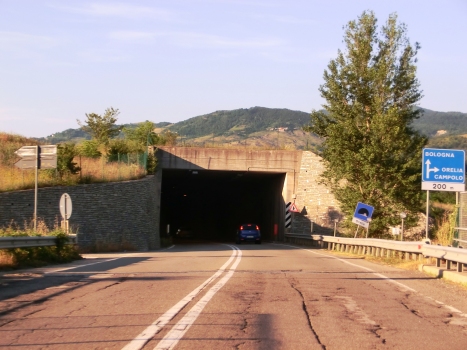 Orelia Tunnel southern portal
