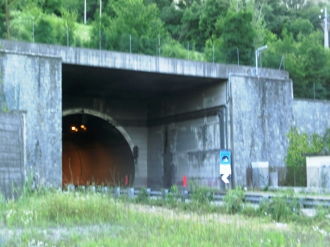 Riola Tunnel northern portal