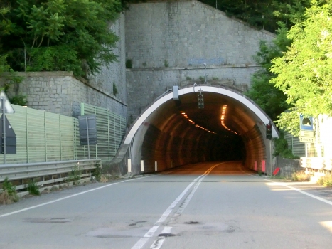 Riola Tunnel southern portal