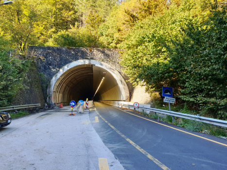 Tunnel de Signorino