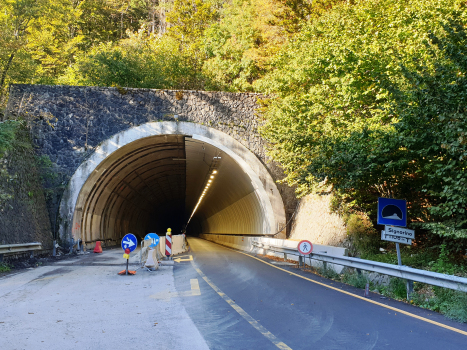 Tunnel de Signorino