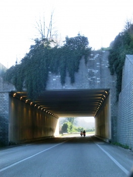Túnel de Campomigliaio