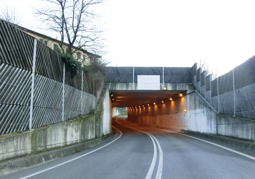 Vaglia Tunnel northern portal
