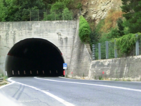 Collaluna I Tunnel eastern portal