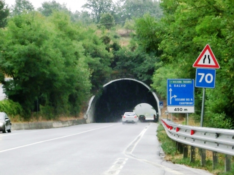 Pantaniello Tunnel western portal