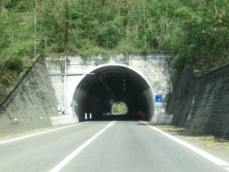 Cavallo Tunnel eastern portal