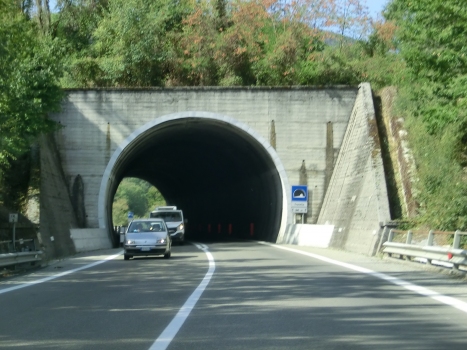 Traiella Tunnel eastern portal
