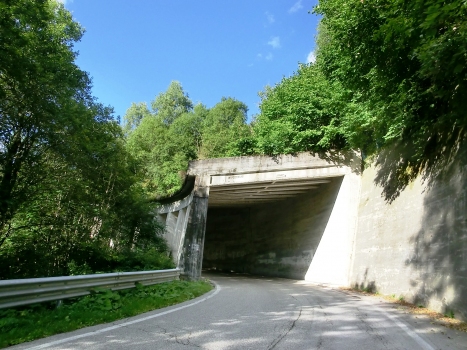 Bagolino III Tunnel southern portal