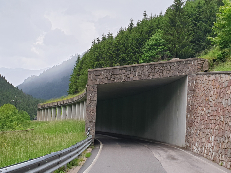 Valle Dorizzo I Tunnel