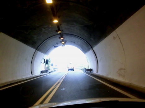 Del Dosso Tunnel at western portal