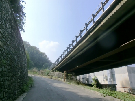 Trinità Viaduct