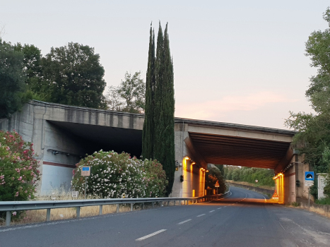 Piscinale Tunnel