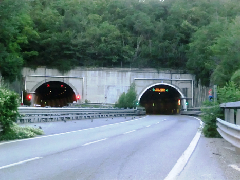 Tunnel de San Pellegrino