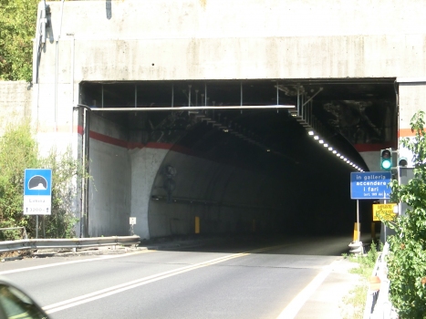 Limina Tunnel southern portal