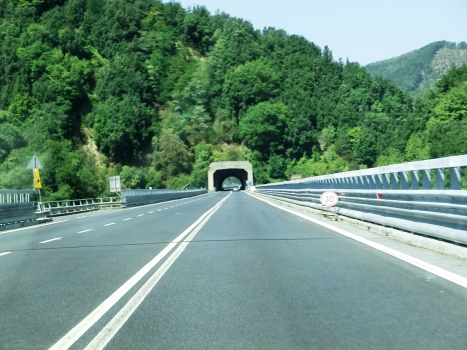 Sciarapotamo Tunnel southern portal