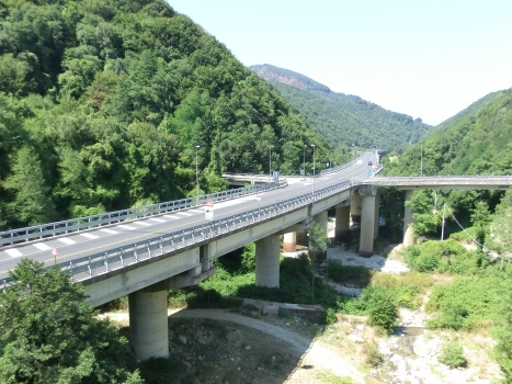 Talbrücke Sciarapotamo II