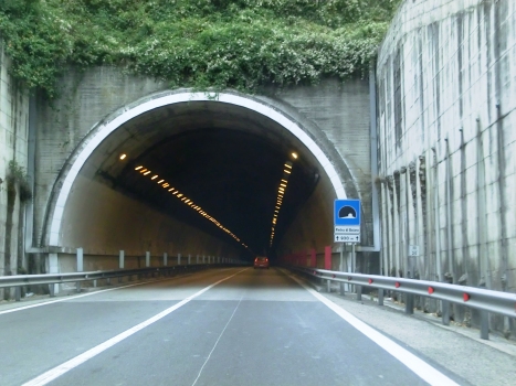 Pietra di Boiara Tunnel southern portal