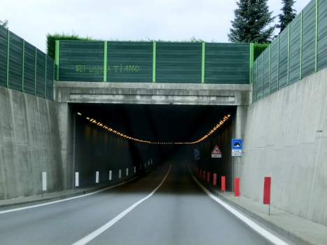 Carle Tunnel northern portal