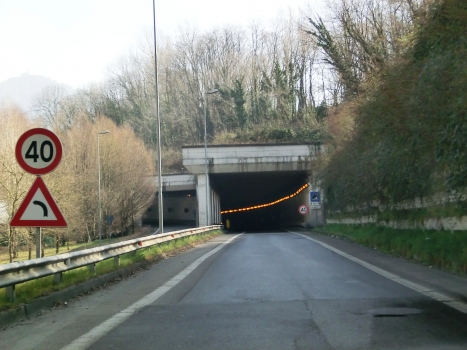 Brogeda II Tunnel (on the right) and Brogeda I Tunnel western portals
