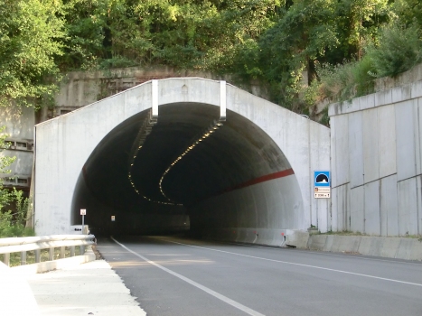Monte Costantino Tunnel northern portal