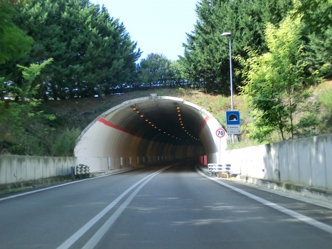 Tunnel Arenaro