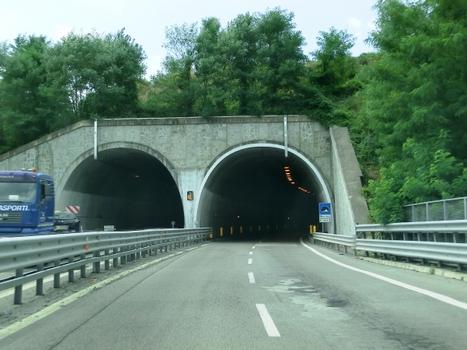 Molin Nuovo Tunnel