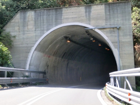 Scilla I Tunnel northern portal