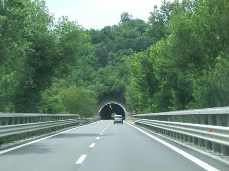 Pian del Ponte Tunnel eastern portal