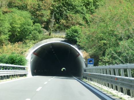 Pian del Ponte Tunnel western portal