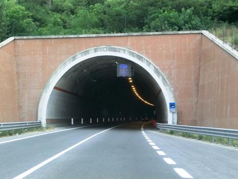 Cà Gulino Tunnel southern portal