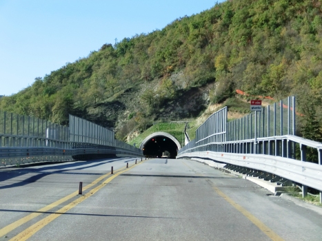 Albacina Sud Tunnel northern portal