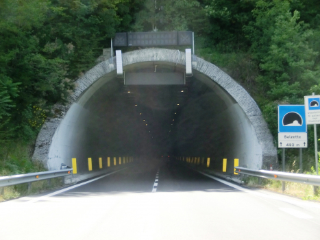 Balzette Tunnel eastern portal