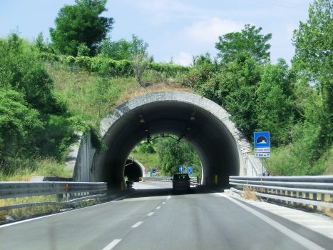 Campo d'Olmo Tunnel eastern portal